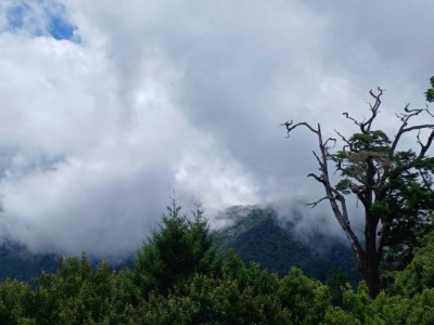 大雪山森林遊樂區，受卡努颱風外圍環流影響現況