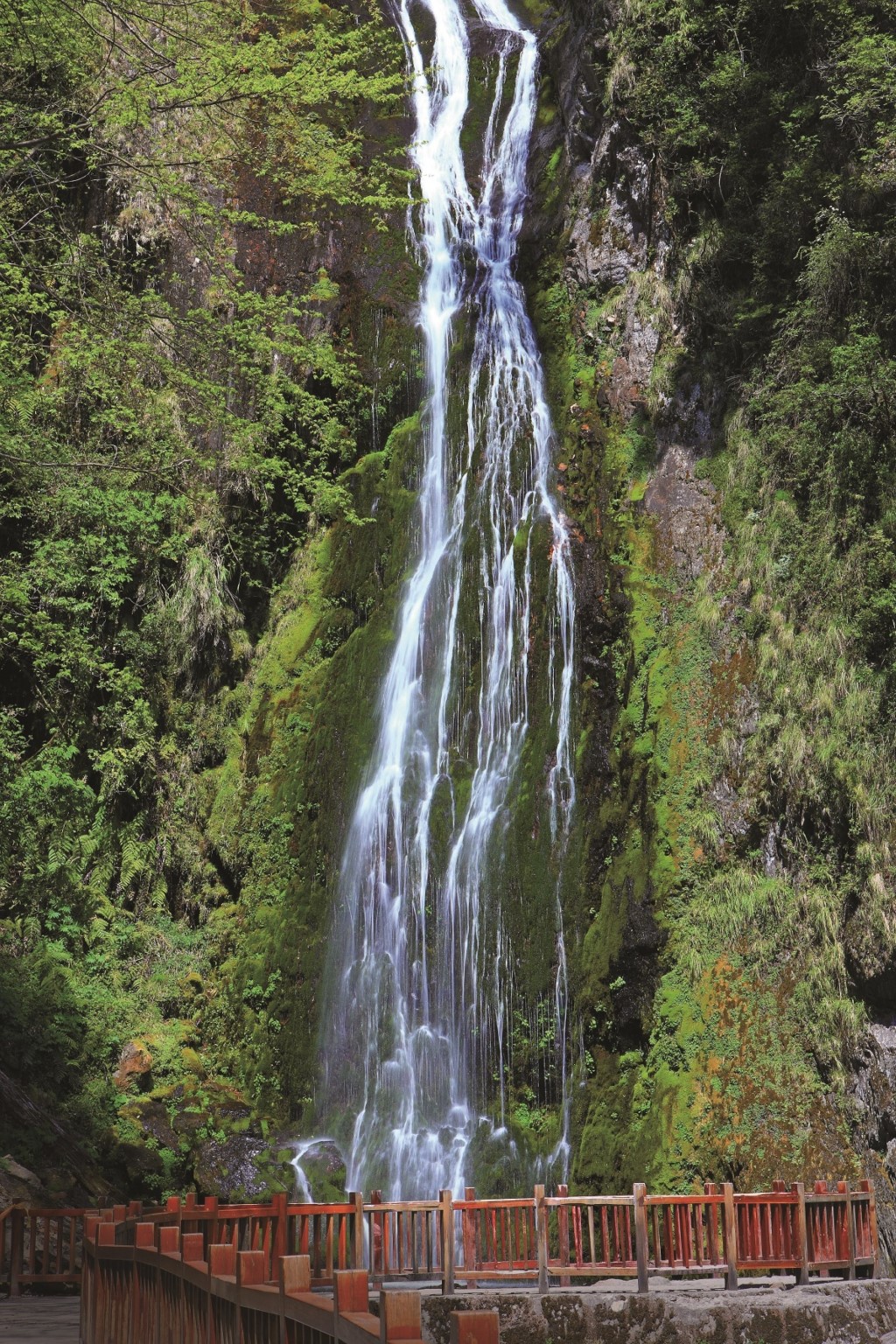 桃山瀑布步道-圖片來源 台灣山林悠遊網