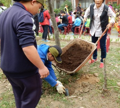 在校園內樹木生長區域裡進行植株根系周邊挖掘透氣孔、埋設透氣管線、投入肥料達到基地改良保護樹木生長的功用