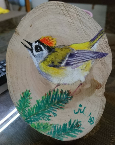 鳥類親子彩繪DIY照片-火冠戴菊