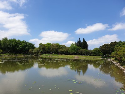 生態儲木池