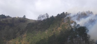 梨山地區森林火災