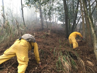 國家森林救火隊克服陡峭地勢前進火場