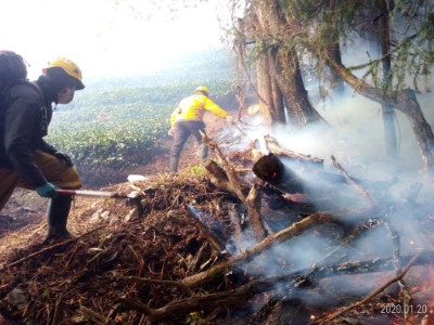 國家森林救火隊手持砍刀移除燃料