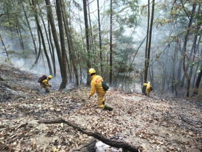 國家森林救火隊穿梭林間英勇救火