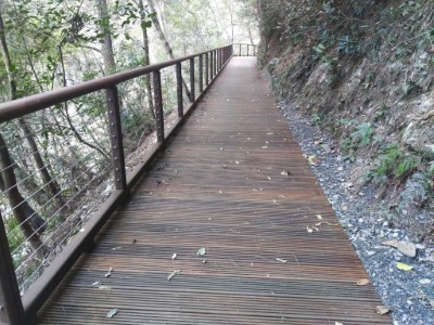 八仙山國家森林遊樂區內第一條無障礙通行步道