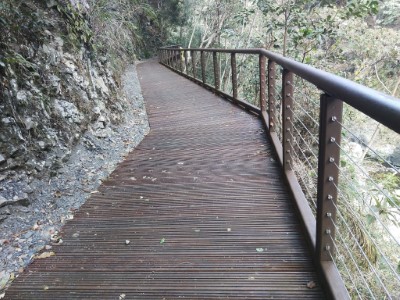 八仙山國家森林遊樂區內第一條無障礙通行步道1