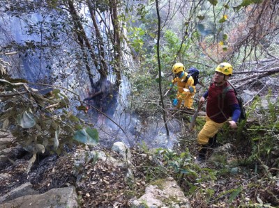 森林護管員地面滅火作業
