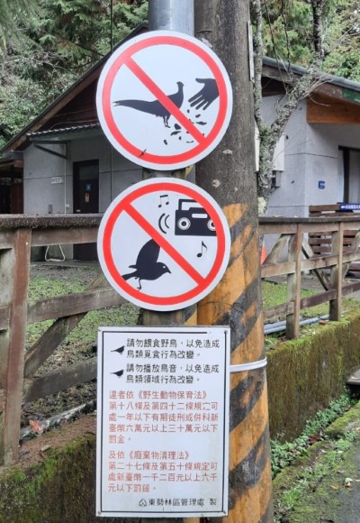 設立宣導牌示，請民眾賞鳥時勿以餵食或播鳥音的方式誘引