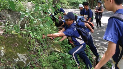 八仙山「森林FUN暑假：工作假期-移除外來種」活動