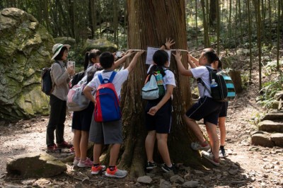 八仙山「森林FUN暑假：林業人鮮體驗」活動