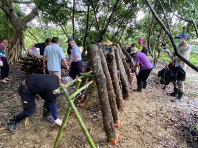 東勢處辦理林下經濟段木香菇訓練班，將於市集提供民眾免費品嚐林下段木香菇